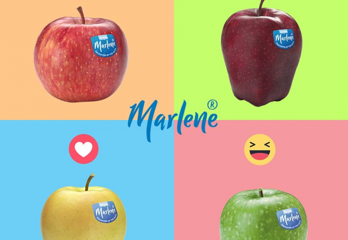 Marlene, un brand social
