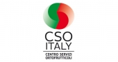 CSO