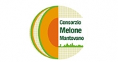 Melone Mantovano