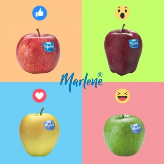 Marlene, a social brand