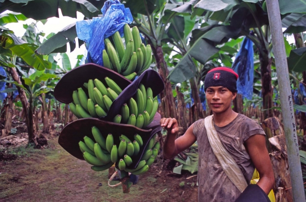 Viaggio stampa Chiquita Costa Rica