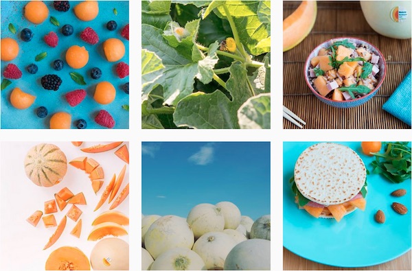 instagram melone mantovano igp
