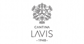 Lavis
